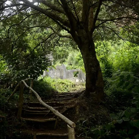 公寓 Hilltop Azores - & Countryside