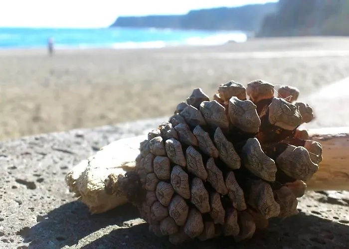 Apartamento Hilltop Azores - & Countryside Porto Formoso