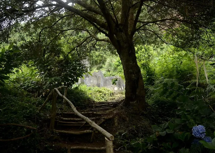 Apartamento Hilltop Azores - & Countryside